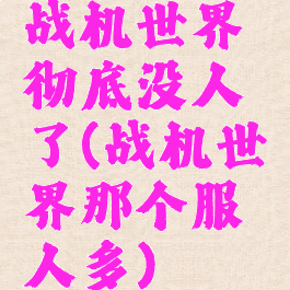战机世界彻底没人了(战机世界那个服人多)