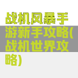 战机风暴手游新手攻略(战机世界攻略)