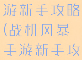 战机风暴手游新手攻略(战机风暴手游新手攻略大全)