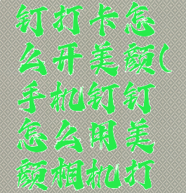 手机版钉钉打卡怎么开美颜(手机钉钉怎么用美颜相机打卡)