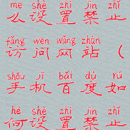 手机百度怎么设置禁止访问网站(手机百度如何设置禁止访问网站)
