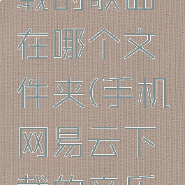 手机网易云音乐下载的歌曲在哪个文件夹(手机网易云下载的音乐在哪个位置)