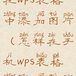 手机如何在wps表格中添加图片(怎样在手机wps表格中添加图片)