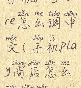 手机playstore怎么调中文(手机play商店怎么调中文)