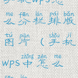 手机wps怎么分栏排版图片(手机wps中怎么分栏)