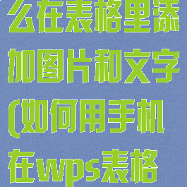 手机wps怎么在表格里添加图片和文字(如何用手机在wps表格中添加图片)