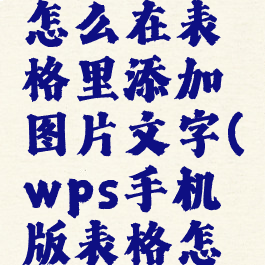 手机wps怎么在表格里添加图片文字(wps手机版表格怎么加图片)