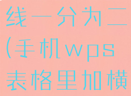 手机wps表格怎么斜线一分为二(手机wps表格里加横线一分为二)