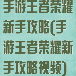手游王者荣耀新手攻略(手游王者荣耀新手攻略视频)