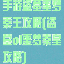 手游盗墓噩梦秦王攻略(盗墓ol噩梦秦皇攻略)