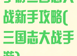 手游三国志大战新手攻略(三国志大战手游)