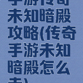 手游传奇未知暗殿攻略(传奇手游未知暗殿怎么走)