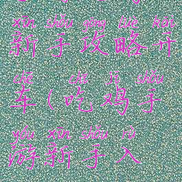 手游吃鸡新手攻略开车(吃鸡手游新手入门攻略)