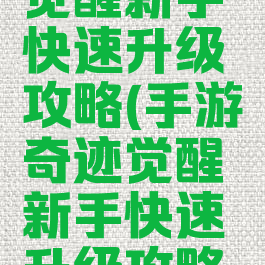 手游奇迹觉醒新手快速升级攻略(手游奇迹觉醒新手快速升级攻略大全)