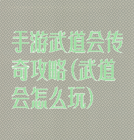 手游武道会传奇攻略(武道会怎么玩)