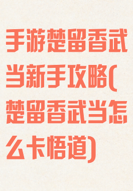 手游楚留香武当新手攻略(楚留香武当怎么卡悟道)