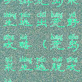 手游荒岛求生逃出荒野攻略(荒岛求生逃脱攻略)