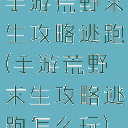 手游荒野求生攻略逃跑(手游荒野求生攻略逃跑怎么玩)