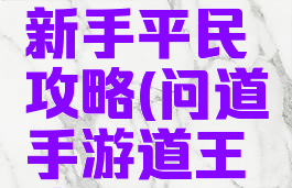 手游道王新手平民攻略(问道手游道王攻略)