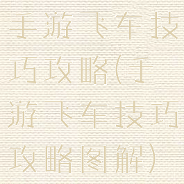 手游飞车技巧攻略(手游飞车技巧攻略图解)