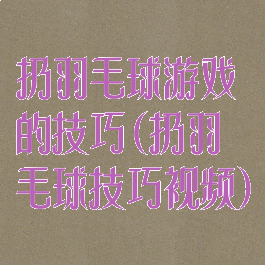 扔羽毛球游戏的技巧(扔羽毛球技巧视频)