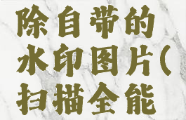 扫描全能王怎么去除自带的水印图片(扫描全能王怎样去除水印)