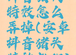 抖音猪头特效怎么弄掉(安卓抖音猪头特效教程)