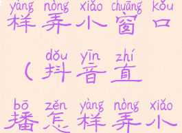 抖音直播怎样弄小窗口(抖音直播怎样弄小窗口模式)