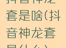 抖音神龙套是啥(抖音神龙套是什么)