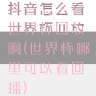 抖音怎么看世界杯回放啊(世界杯哪里可以看回播)