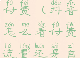 抖音怎么看付费(抖音怎么看付费流量还是自然流量)