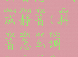 抖音怎么调成静音(抖音怎么调静音播放)