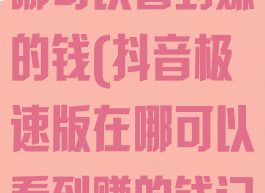 抖音极速版在哪可以看到赚的钱(抖音极速版在哪可以看到赚的钱记录)