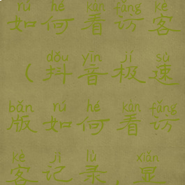 抖音极速版如何看访客(抖音极速版如何看访客记录,显示全部)