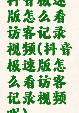 抖音极速版怎么看访客记录视频(抖音极速版怎么看访客记录视频呢)