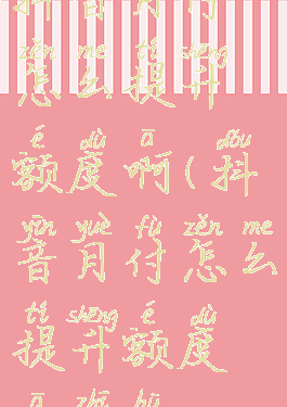 抖音月付怎么提升额度啊(抖音月付怎么提升额度啊知乎)