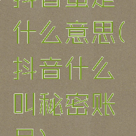 抖音蜜是什么意思(抖音什么叫秘密账号)