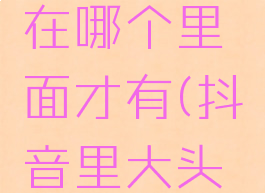 抖音里的大头特效在哪个里面才有(抖音里大头的特效在哪里找?)