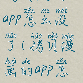 拷贝漫画的app怎么没了(拷贝漫画的app怎么没了呢)