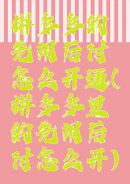 拼多多的先用后付怎么开通(拼多多里的先用后付怎么开)