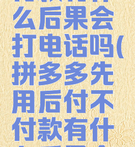 拼多多先用后付不付款有什么后果会打电话吗(拼多多先用后付不付款有什么后果会打电话吗怎么办)