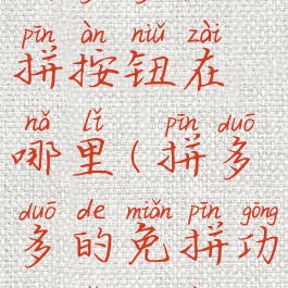 拼多多免拼按钮在哪里(拼多多的免拼功能怎么用)