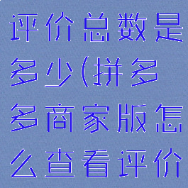 拼多多商家版怎么查看评价总数是多少(拼多多商家版怎么查看评价总数是多少次)