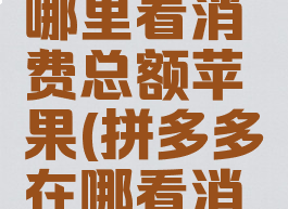 拼多多在哪里看消费总额苹果(拼多多在哪看消费多少)