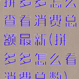 拼多多怎么查看消费总额最新(拼多多怎么看消费总数)