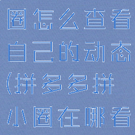 拼多多拼小圈怎么查看自己的动态(拼多多拼小圈在哪看自己)