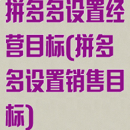拼多多设置经营目标(拼多多设置销售目标)