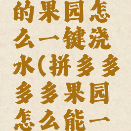 拼多多里的果园怎么一键浇水(拼多多多多果园怎么能一键浇水)