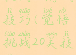 挑战20游戏技巧(觉悟挑战20关技巧)