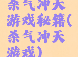 杀气冲天游戏秘籍(杀气冲天游戏)